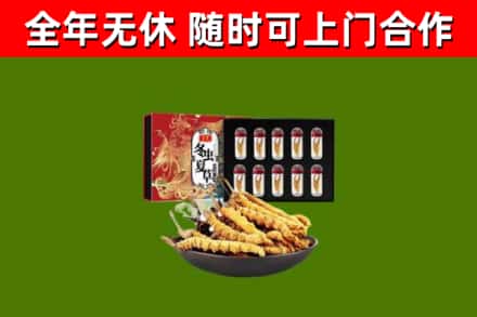 黔西县回收冬虫夏草价格